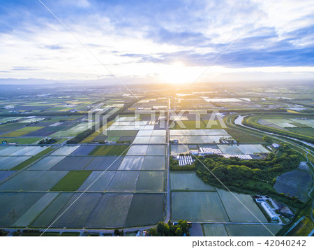 清晨稻田圖像（航空攝影） 42040242