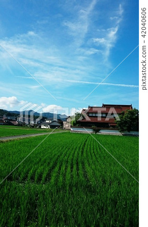 Country landscape and private house 42040606