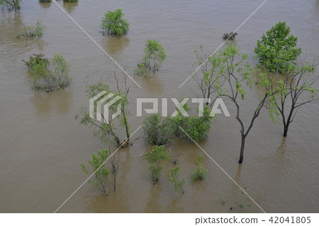 洪水 洪水 42041805