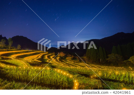 Oyama Senbaida Light Up夜景秋冬(千葉縣鴨川市) Oyama Senbaida Light Up夜景秋冬(千葉縣鴨川市) 42041961