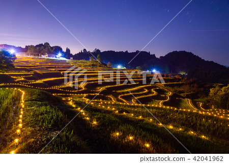 Oyama Senbaida Light Up Night view Fall Winter (Kamogawa City, Chiba Prefecture) 42041962