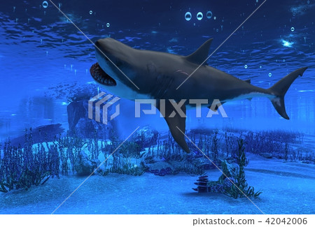 Great white shark underwater 3d illustration Great white shark underwater 3d illustration 42042006