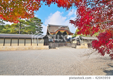 Kyoto Gyoen in Kinu autumn 42043959
