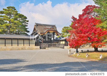 京都Gyoen在Kinu秋天 42043973