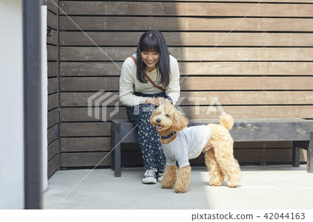 Walking a female dog Walking a female dog 42044163