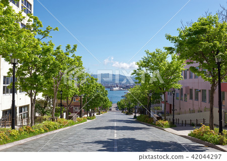 函館市/八幡塚 函館市/八幡塚 42044297