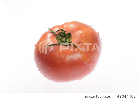 White back tomato White back tomato 42044493