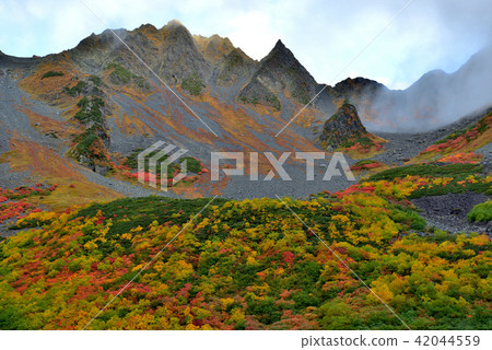Fall dawn of autumn Fall dawn of autumn 42044559