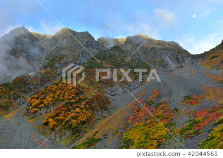 Fall dawn of autumn 42044561
