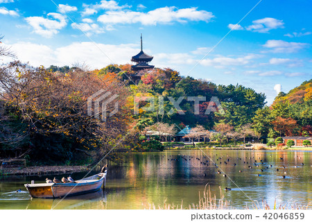 Yokohama Sankei Garden Oike and Mie Tower Autumn Leaves 42046859