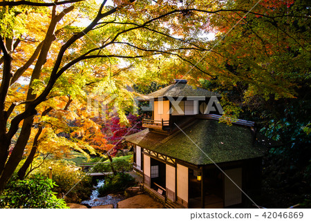 橫濱產經花園禮堂和秋葉 橫濱產經花園禮堂和秋葉 42046869