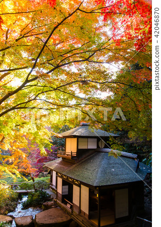 橫濱產經花園禮堂和秋葉 橫濱產經花園禮堂和秋葉 42046870