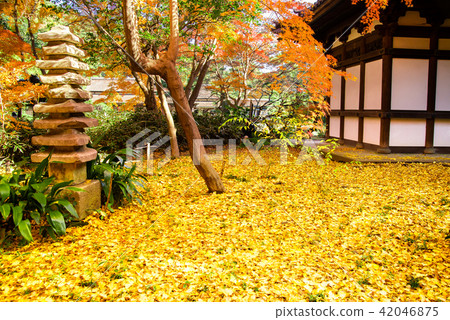 橫濱Sankei-en Garden Okuteruji Temple Kamido的斬首 橫濱Sankei-en Garden Okuteruji Temple Kamido的斬首 42046875