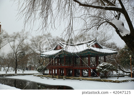 Winter travel! Winter travel! 42047125