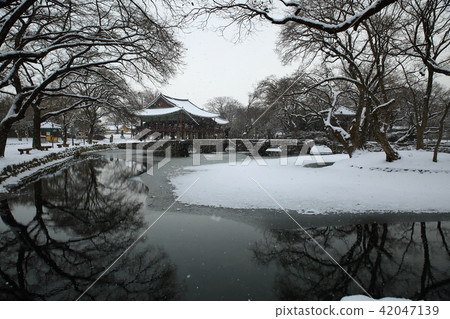 Winter travel! 42047139