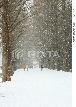 Winter Sonata! Winter Sonata! 42047149
