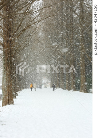 Winter Sonata! Winter Sonata! 42047150