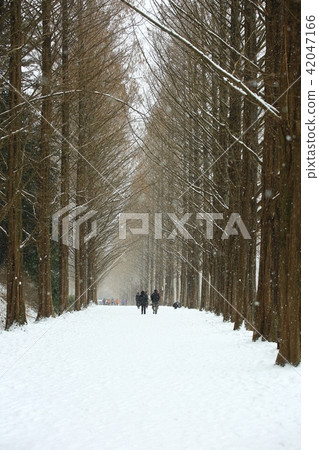 Winter Sonata! Winter Sonata! 42047166