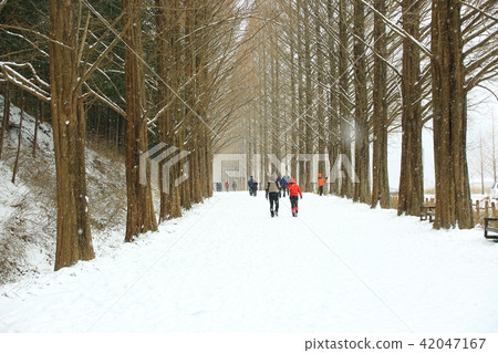Winter Sonata! Winter Sonata! 42047167