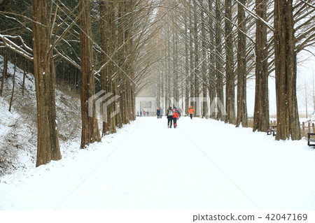 Winter Sonata! Winter Sonata! 42047169
