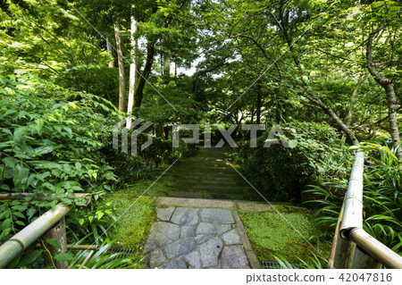 Bookyoshi Kiyomizu Temple genuine garden Bookyoshi Kiyomizu Temple genuine garden 42047816