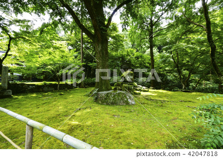 Bookyoshi Kiyomizu Temple正園 Bookyoshi Kiyomizu Temple正園 42047818