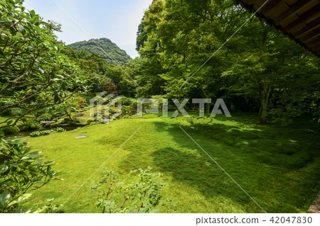 Bookyoshi Kiyomizu Temple genuine garden Bookyoshi Kiyomizu Temple genuine garden 42047830