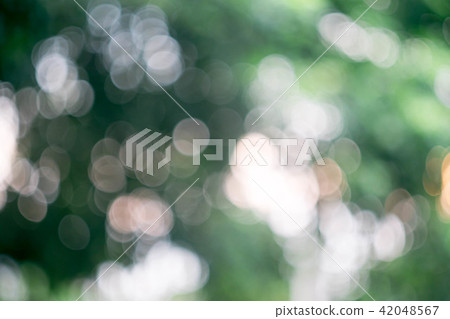 Bokeo natural background blurred 42048567
