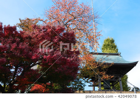 秋葉和lotusaji鐘樓 42049078