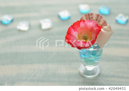 Hinagishi (Chirley Poppy Coclico Amapola) 42049431