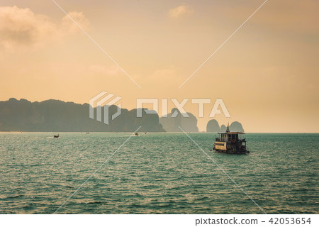 Thai boat floating between cliffs of Phi Phi islands 42053654