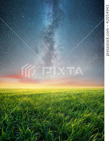 Grass on the field and night sky. Grass on the field and night sky. 42054943