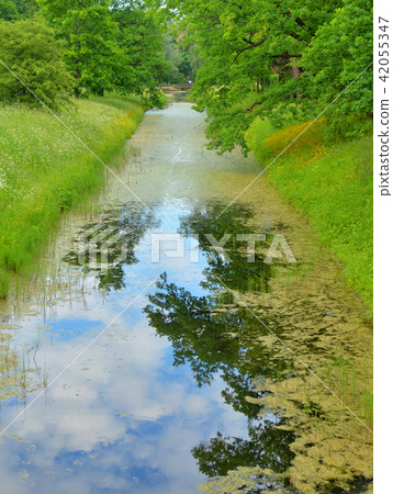 Canal in park. Canal in park. 42055347