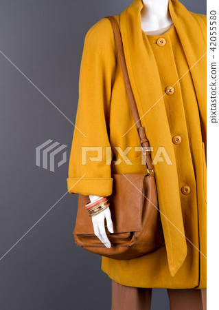 Mannequin with coat and handbag. Mannequin with coat and handbag. 42055580