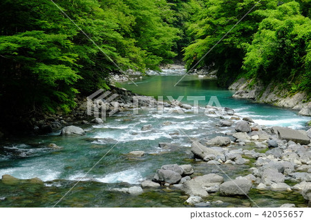 Summer of clear stream (Kamikitayama village, Yoshino-gun, Nara prefecture) 42055657