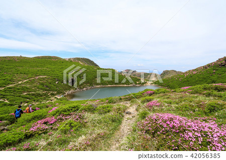 Miyama Kirishima Blooms Kuju Mountain · Oike Miyama Kirishima Blooms Kuju Mountain · Oike 42056385