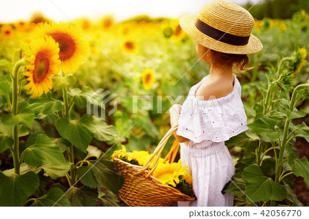 little girl in a white dress, a straw hat with a basket full of sunflowers in a field little girl in a white dress, a straw hat with a basket full of sunflowers in a field 42056770