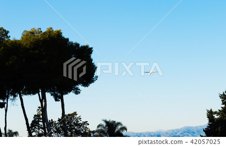 Passenger plane flying in the blue sky Passenger plane flying in the blue sky 42057025