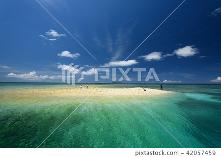 巴拉斯島圖像盛夏 42057459