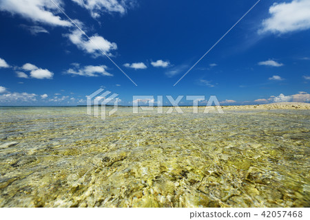 Okinawa sea coral image summer summer travel snorkeling 42057468