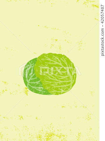 白菜水彩畫 42057487