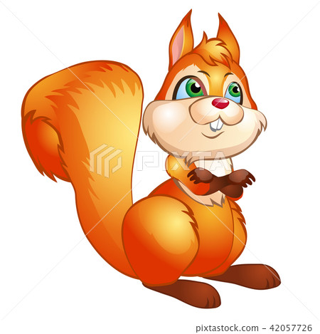 Cute squirrel isolated on white background. Vector cartoon close-up illustration. 42057726