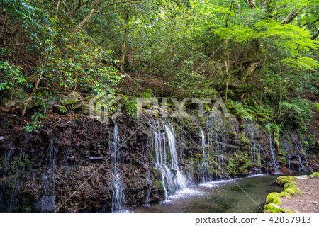 (神奈川縣)箱根Koumundokuya Chijo(Chisuji no Taki)的瀑布 (神奈川縣)箱根Koumundokuya Chijo(Chisuji no Taki)的瀑布 42057913