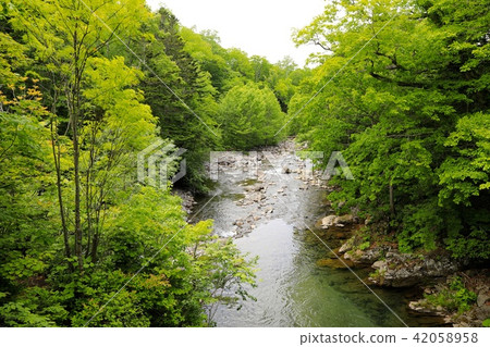 長河系少數民族河 長河系少數民族河 42058958