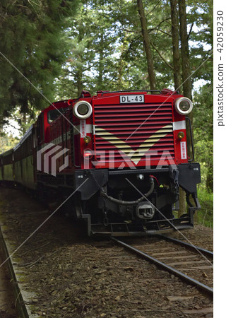 嘉義縣 阿里山鄉 阿里山森林遊樂區 阿里山森林鐵路 森林 阿里山國家風景區 嘉義縣 阿里山鄉 阿里山森林遊樂區 阿里山森林鐵路 森林 阿里山國家風景區 42059230