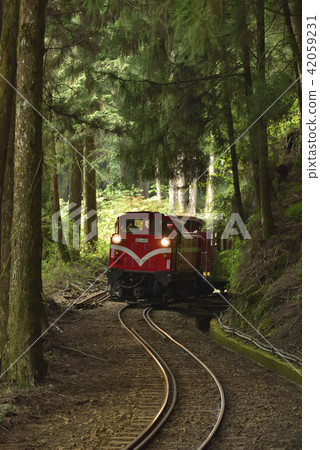 嘉義縣 阿里山鄉 阿里山森林遊樂區 阿里山森林鐵路 森林 阿里山國家風景區 42059231