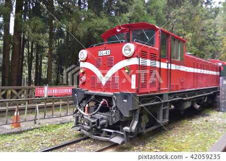 Chiayi County Alishan Township Alishan Forest Recreation Area Alishan Forest Railway Forest Alishan National Scenic Area Chiayi County Alishan Township Alishan Forest Recreation Area Alishan Forest Railway Forest Alishan National Scenic Area 42059235