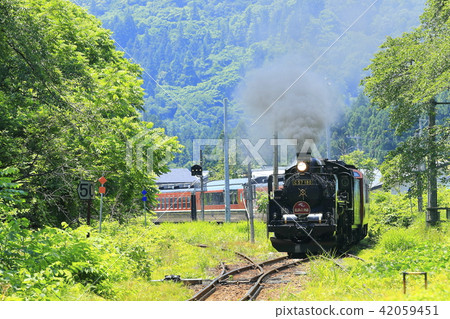 禁止海外線SL新鮮綠色 42059451