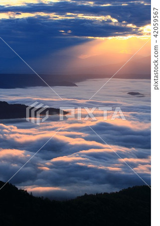 Morning of the sea of clouds (Hokkaido Tsunade Pass) 42059567