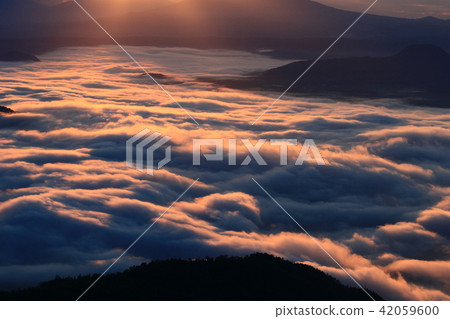 雲海的早晨(北海道Tsunade Pass) 雲海的早晨(北海道Tsunade Pass) 42059600